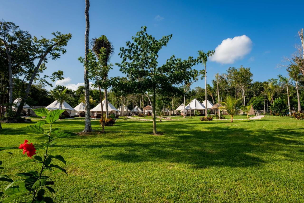 ホテル Xakluum Eco Glampings プエルト・モレロス エクステリア 写真